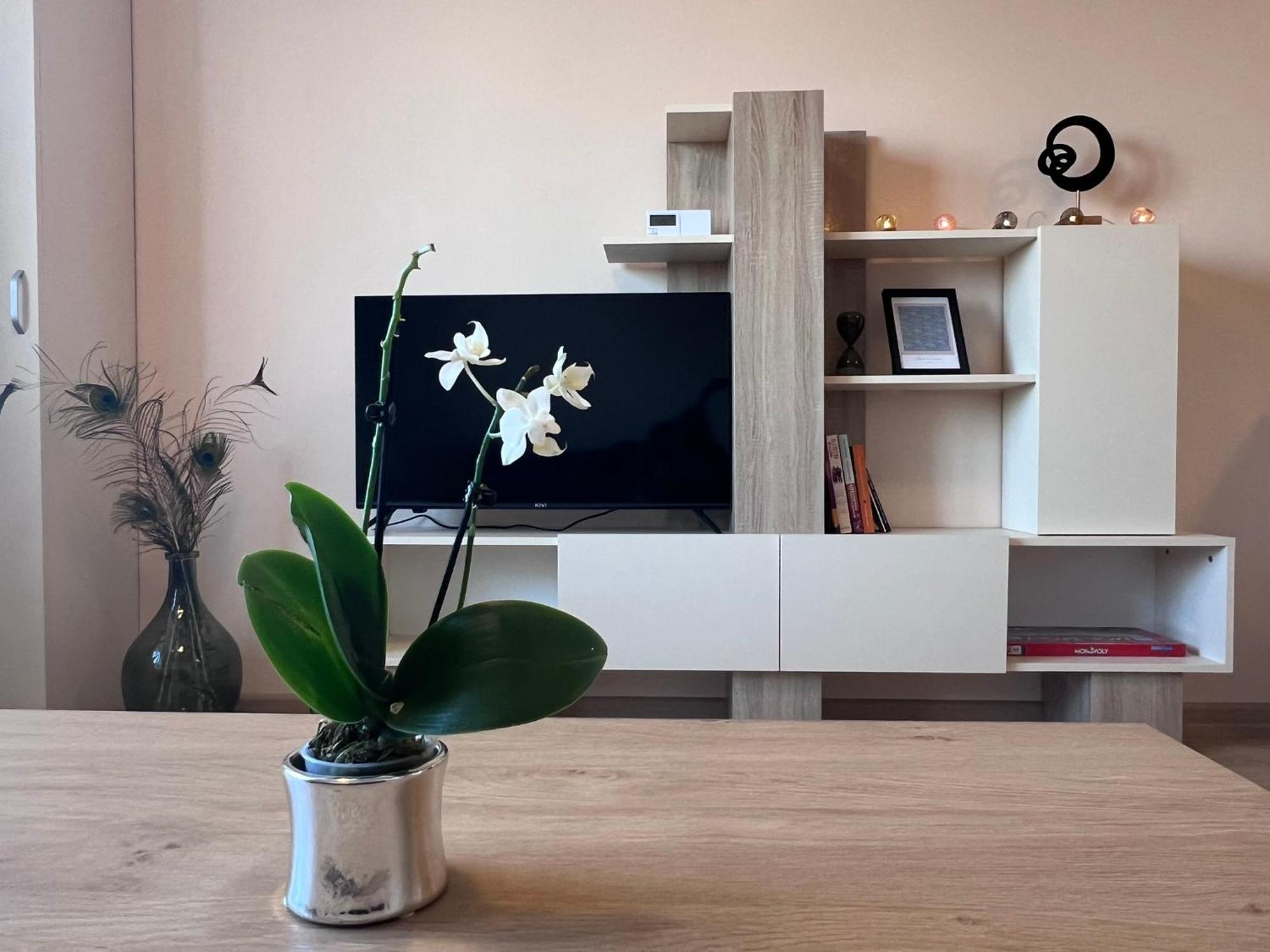 Cappuccino Apartment Sofya Dış mekan fotoğraf